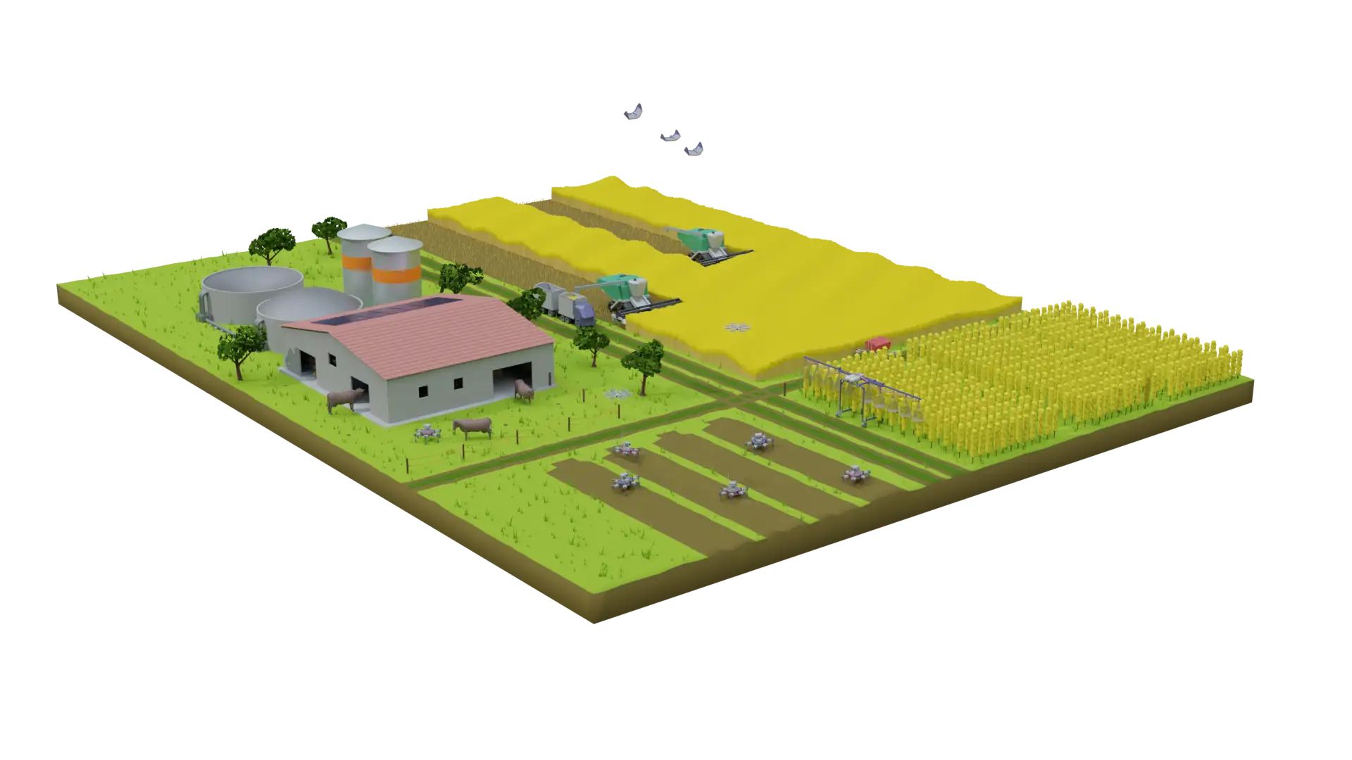 Farm of the Feature